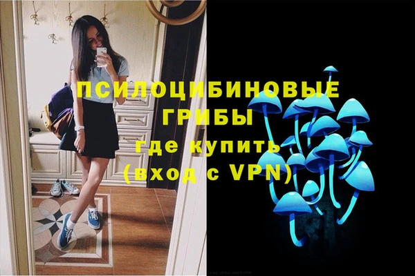 apvp Зеленодольск